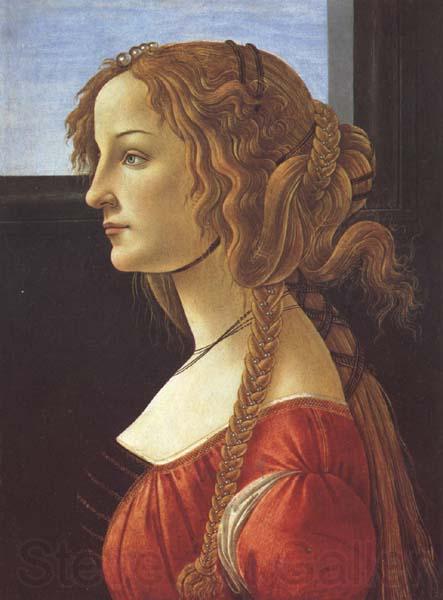 Sandro Botticelli Porfile of a Young Woman (mk45) France oil painting art